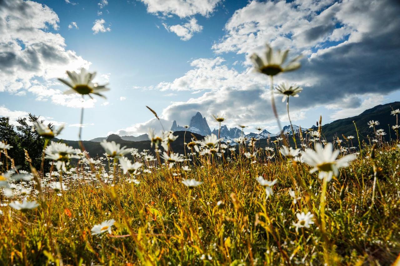 Chalten Camp - Glamping With A View El Chalten Buitenkant foto